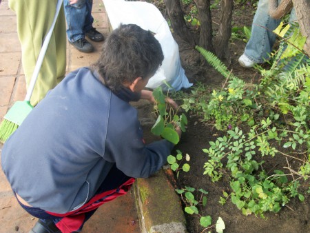 TAMBIÉN TRABAJAMOS EN EL JARDÍN